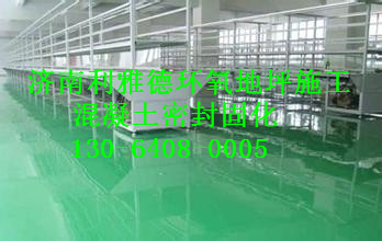 济南利雅德环氧地坪施工
